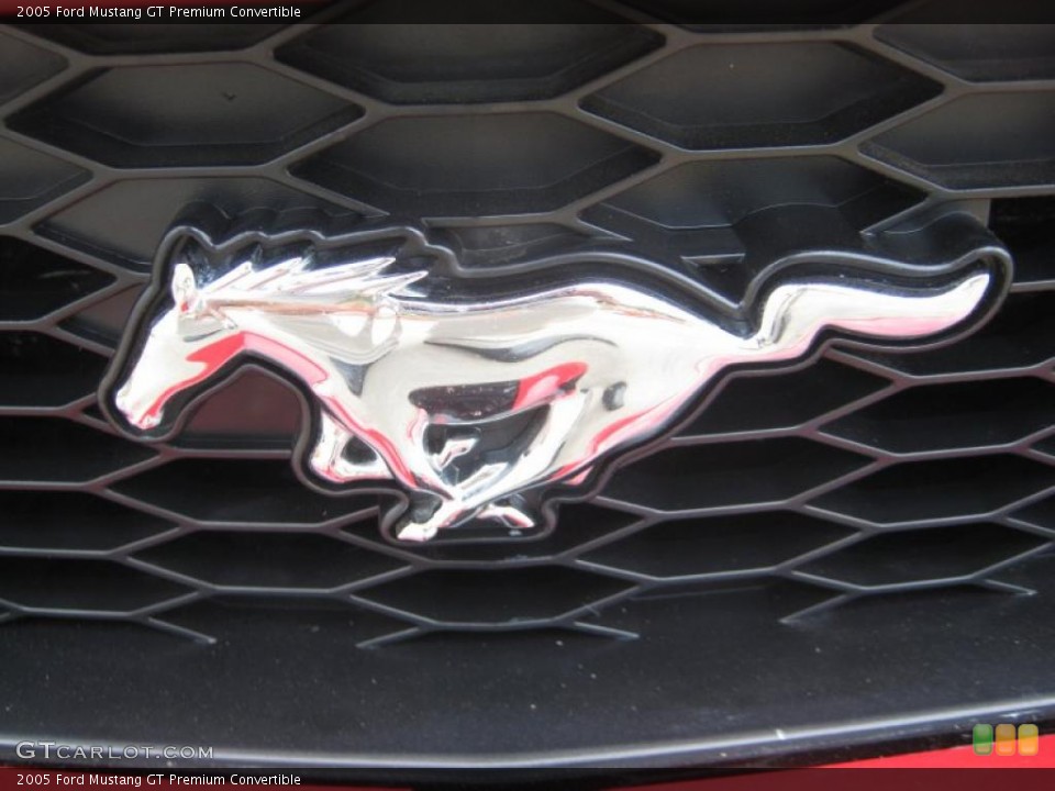 2005 Ford Mustang Custom Badge and Logo Photo #49524926