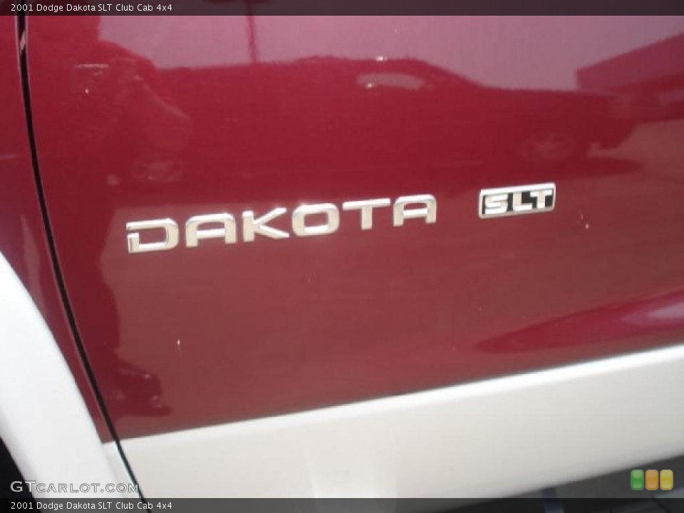 2001 Dodge Dakota Custom Badge and Logo Photo #49781975