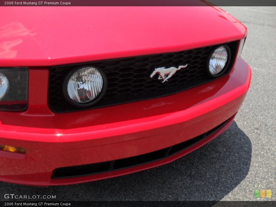 2006 Ford Mustang Custom Badge and Logo Photo #50297223