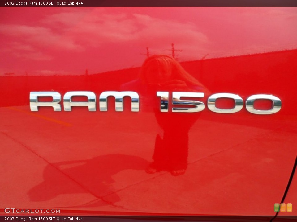 2003 Dodge Ram 1500 Custom Badge and Logo Photo #50471938