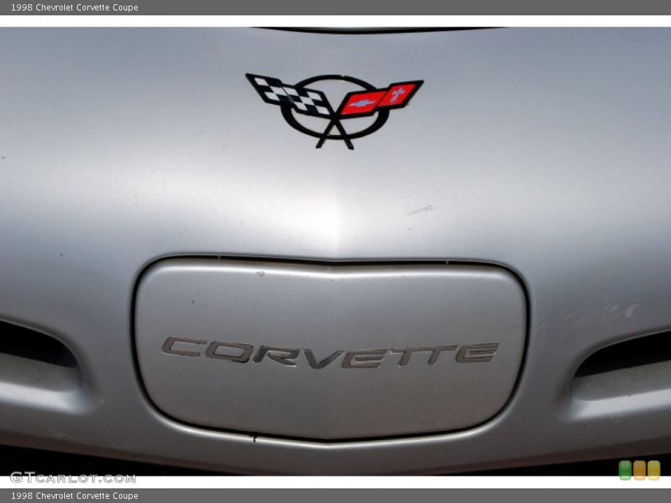 1998 Chevrolet Corvette Custom Badge and Logo Photo #50655568