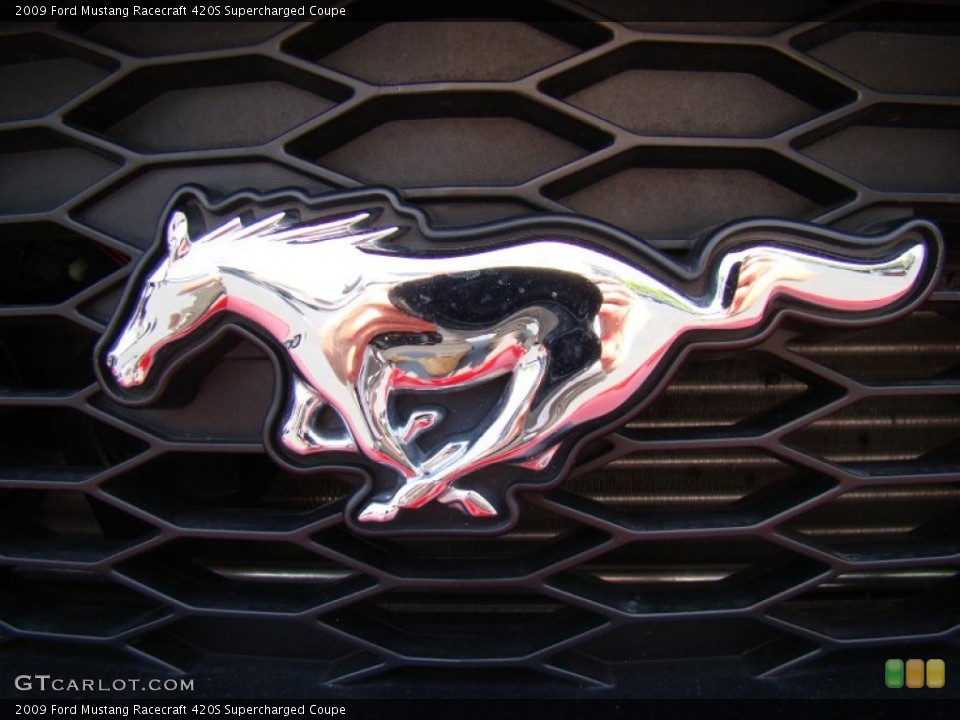 2009 Ford Mustang Custom Badge and Logo Photo #50709388