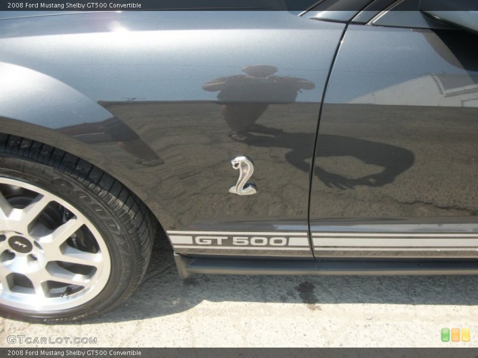 2008 Ford Mustang Custom Badge and Logo Photo #50802849