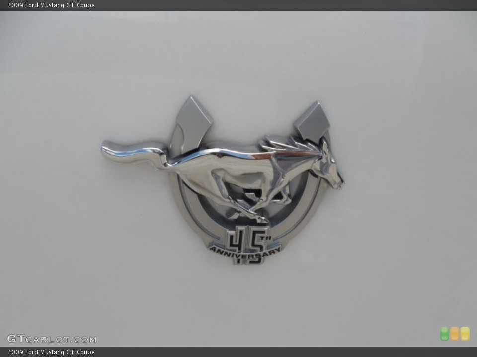 2009 Ford Mustang Custom Badge and Logo Photo #50925879