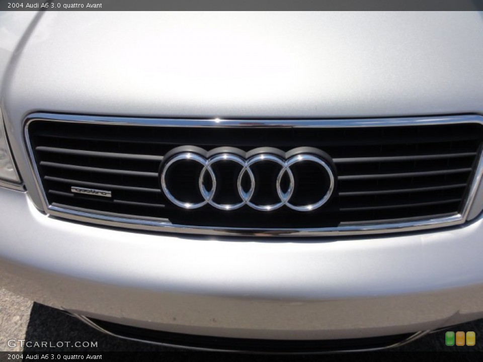 2004 Audi A6 Custom Badge and Logo Photo #51156014