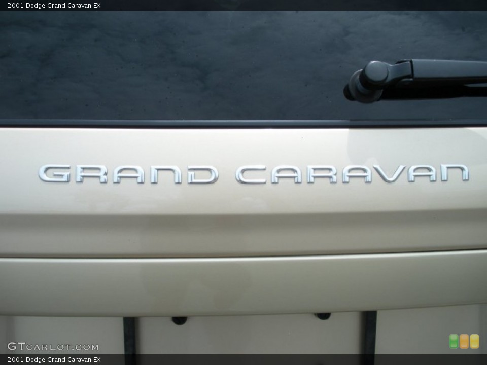 2001 Dodge Grand Caravan Custom Badge and Logo Photo #51512134