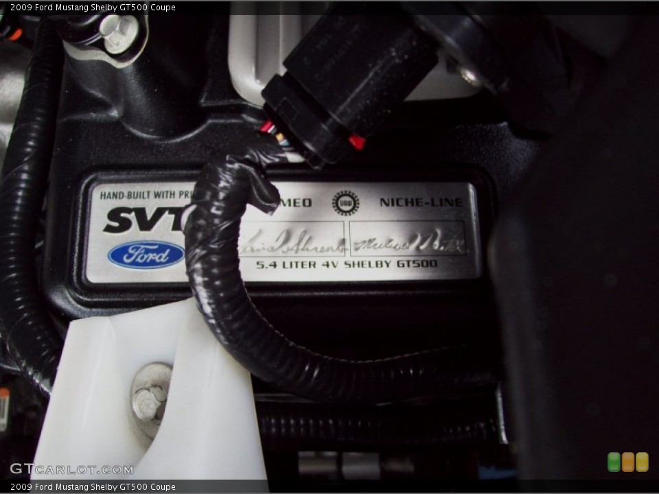 2009 Ford Mustang Custom Badge and Logo Photo #51787361