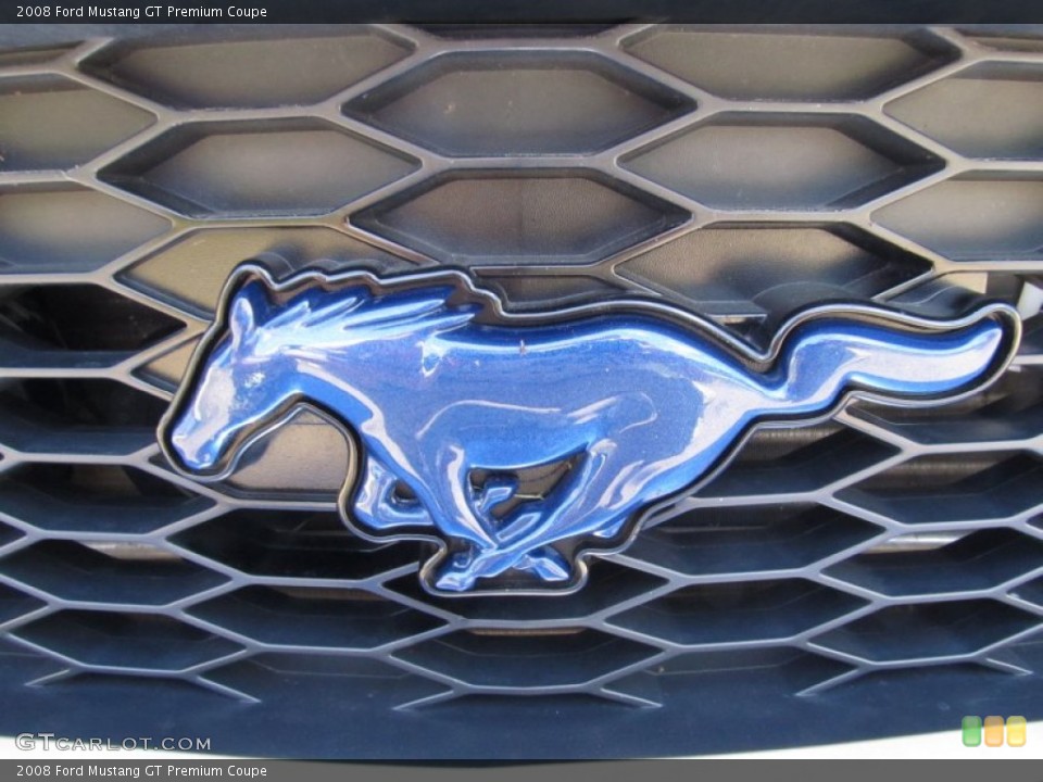 2008 Ford Mustang Custom Badge and Logo Photo #51832426