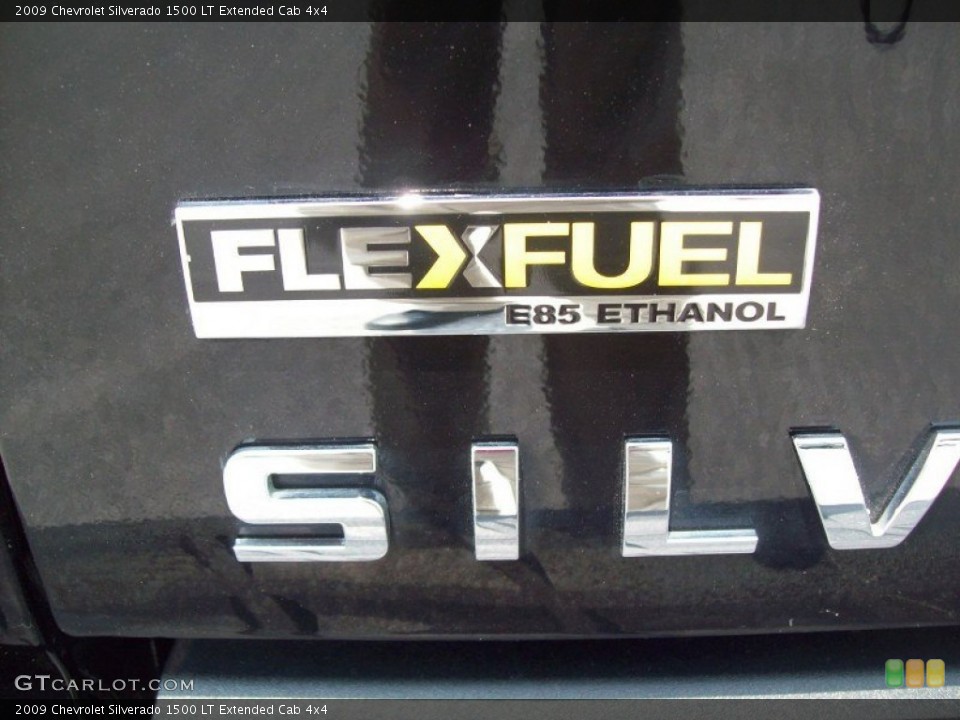 2009 Chevrolet Silverado 1500 Custom Badge and Logo Photo #51987428