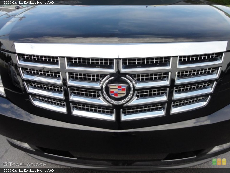 2009 Cadillac Escalade Custom Badge and Logo Photo #52096424