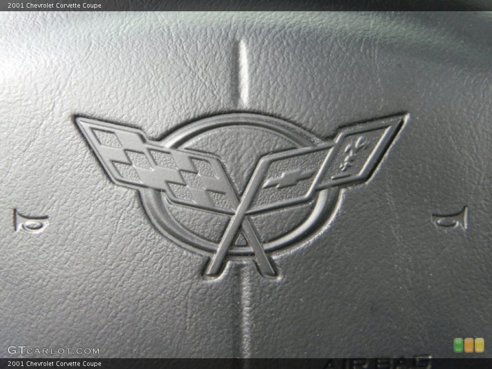 2001 Chevrolet Corvette Custom Badge and Logo Photo #52134208