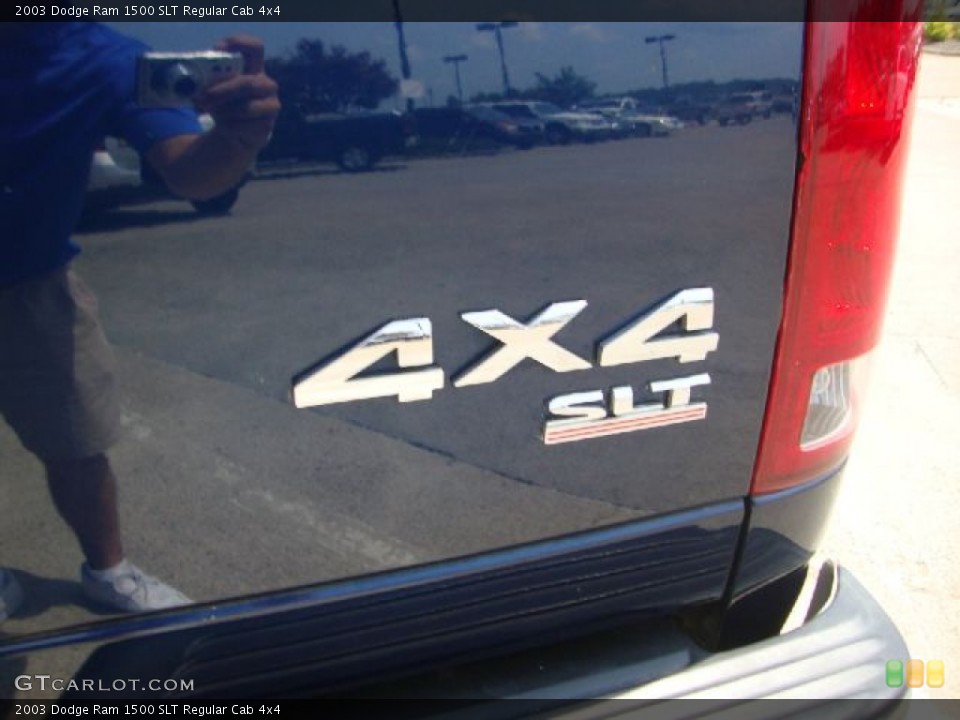 2003 Dodge Ram 1500 Custom Badge and Logo Photo #52177555