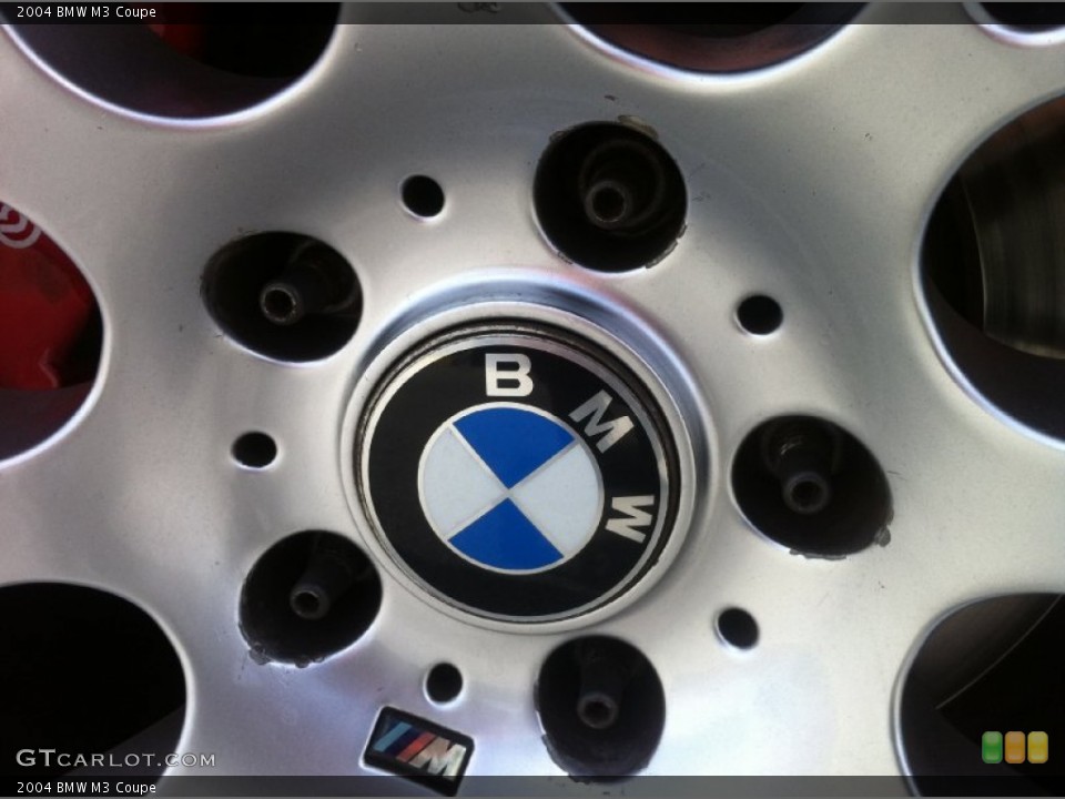 2004 BMW M3 Custom Badge and Logo Photo #52640240