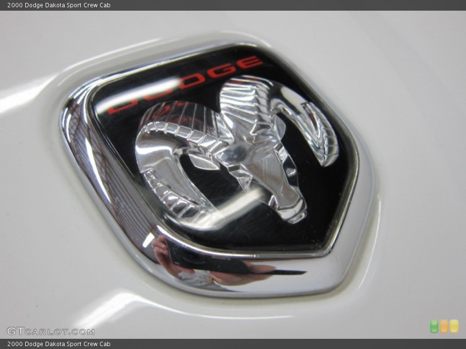 2000 Dodge Dakota Custom Badge and Logo Photo #53284746