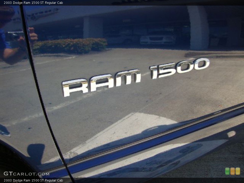 2003 Dodge Ram 1500 Custom Badge and Logo Photo #53338978