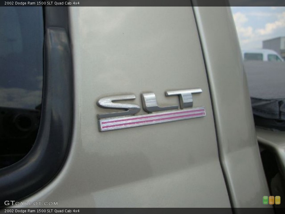 2002 Dodge Ram 1500 Custom Badge and Logo Photo #53440103