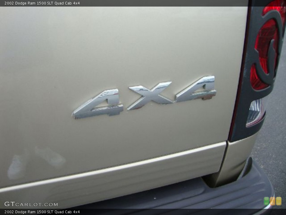 2002 Dodge Ram 1500 Custom Badge and Logo Photo #53440136
