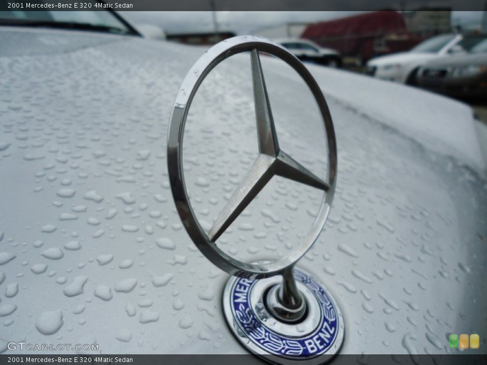2001 Mercedes-Benz E Custom Badge and Logo Photo #53486796