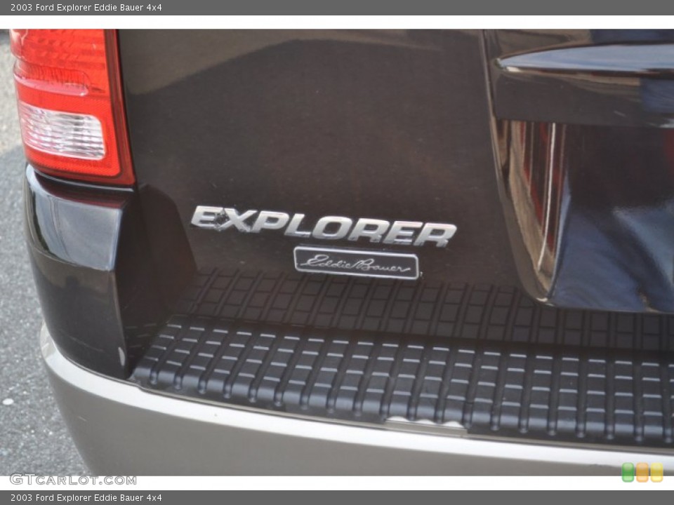 2003 Ford Explorer Custom Badge and Logo Photo #53501047