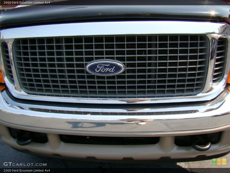 2000 Ford Excursion Custom Badge and Logo Photo #54110556