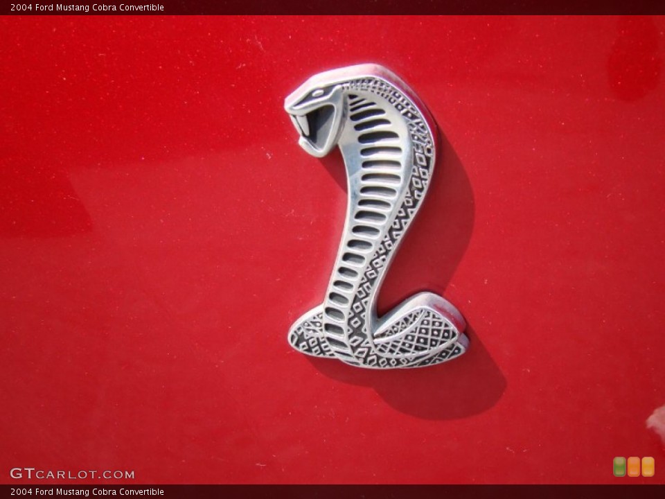 2004 Ford Mustang Custom Badge and Logo Photo #54387260