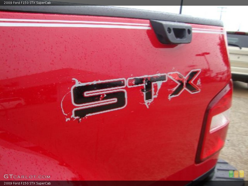 2009 Ford F150 Custom Badge and Logo Photo #54520277