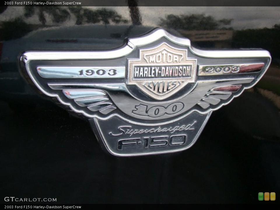 2003 Ford F150 Custom Badge and Logo Photo #54612879