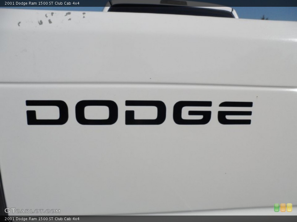 2001 Dodge Ram 1500 Custom Badge and Logo Photo #55004434