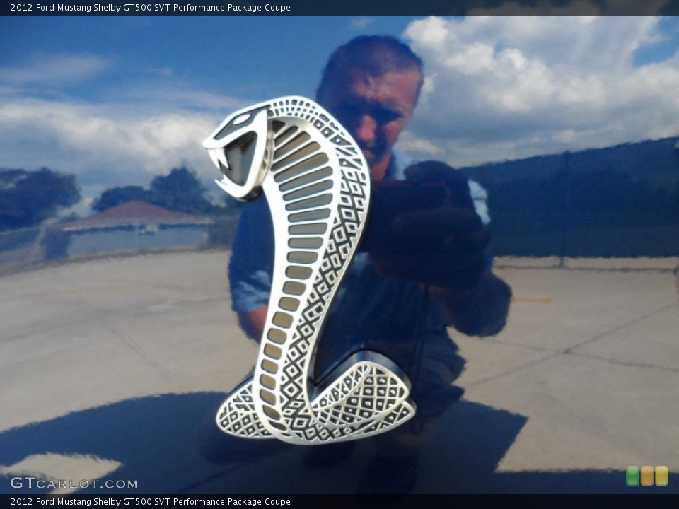 2012 Ford Mustang Custom Badge and Logo Photo #55224397