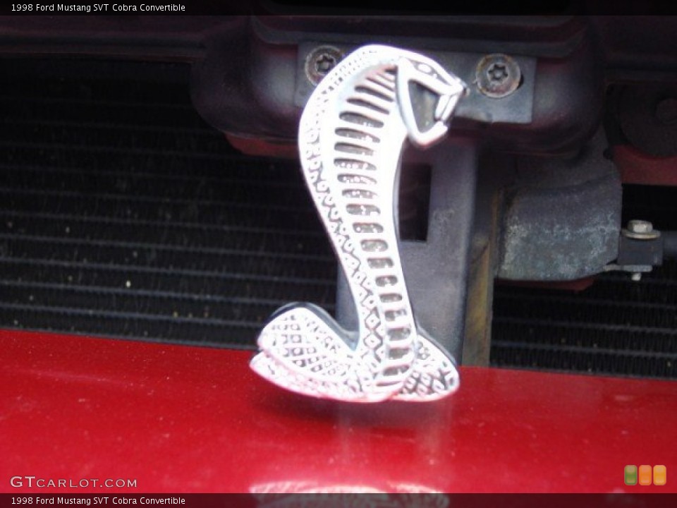 1998 Ford Mustang Custom Badge and Logo Photo #55338713