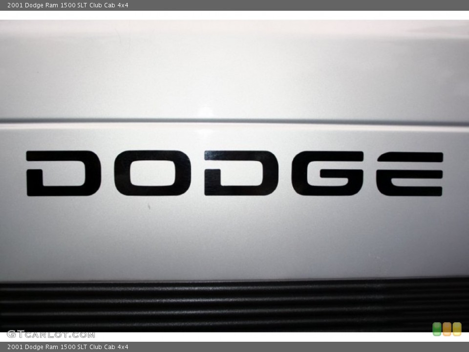 2001 Dodge Ram 1500 Custom Badge and Logo Photo #55474808