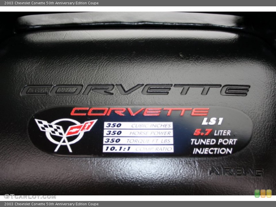 2003 Chevrolet Corvette Custom Badge and Logo Photo #55475978