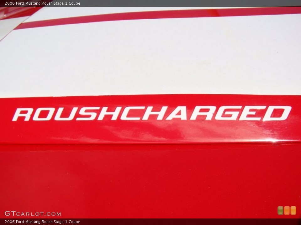 2006 Ford Mustang Custom Badge and Logo Photo #55563081