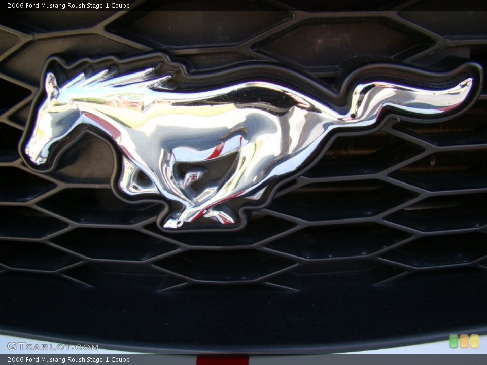2006 Ford Mustang Custom Badge and Logo Photo #55563172
