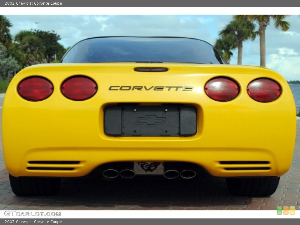 2002 Chevrolet Corvette Custom Badge and Logo Photo #55611643
