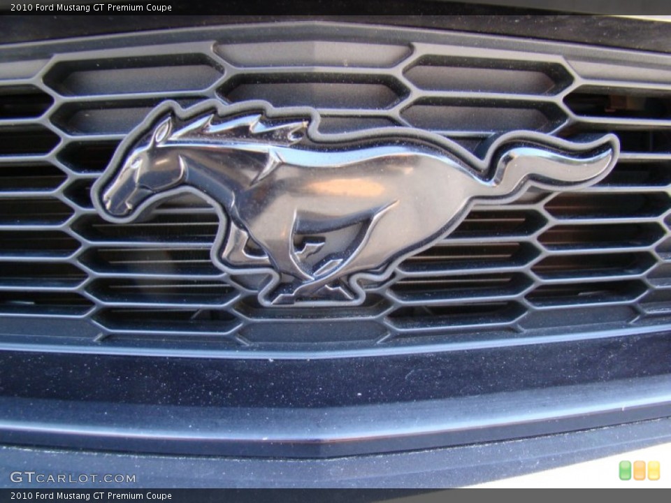 2010 Ford Mustang Custom Badge and Logo Photo #55809764