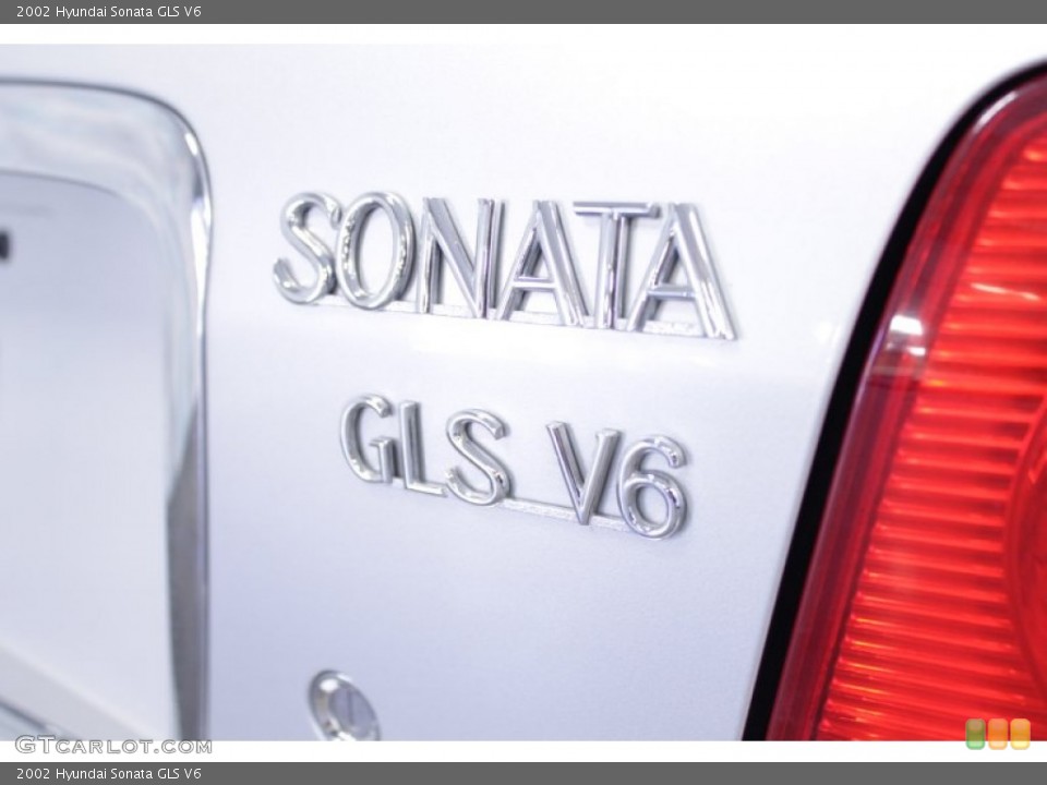 2002 Hyundai Sonata Custom Badge and Logo Photo #55933740