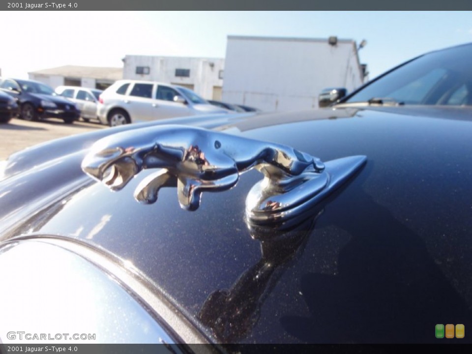 2001 Jaguar S-Type Custom Badge and Logo Photo #55936818