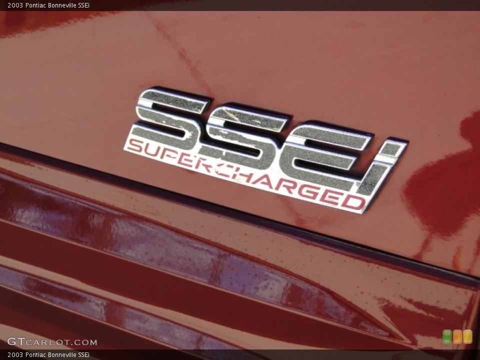 2003 Pontiac Bonneville Custom Badge and Logo Photo #56208875