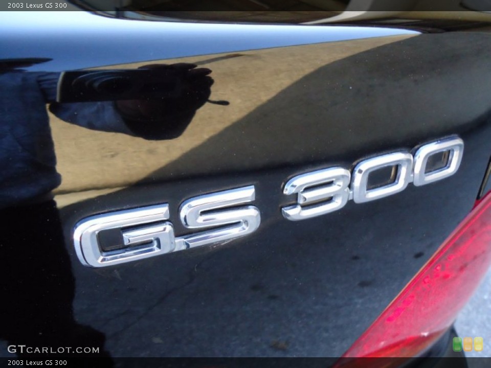2003 Lexus GS Custom Badge and Logo Photo #56212478