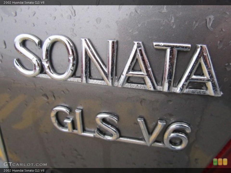 2002 Hyundai Sonata Badges and Logos