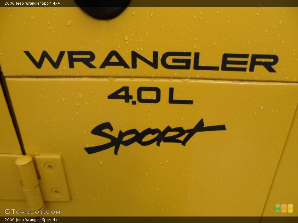 2000 Jeep Wrangler Custom Badge and Logo Photo #57472459