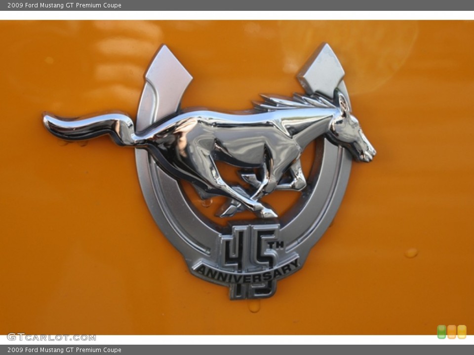 2009 Ford Mustang Custom Badge and Logo Photo #57474808