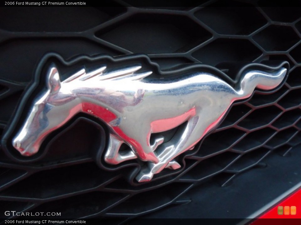 2006 Ford Mustang Custom Badge and Logo Photo #57885971