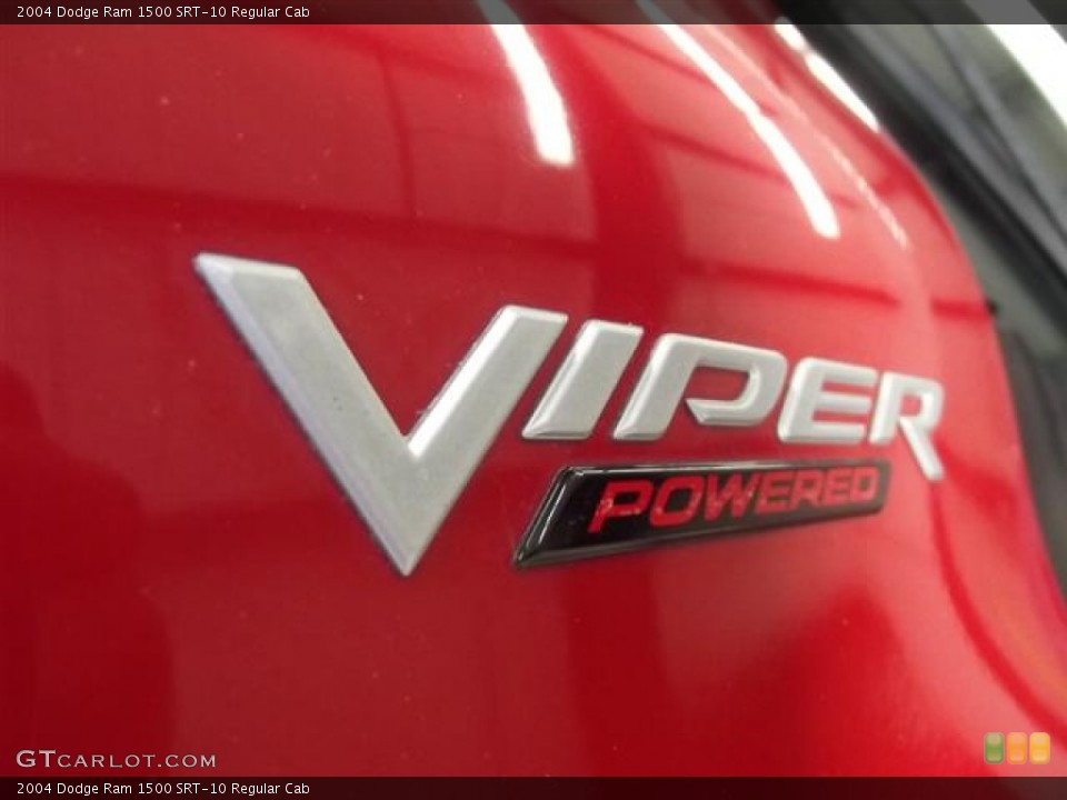 2004 Dodge Ram 1500 Custom Badge and Logo Photo #58335839