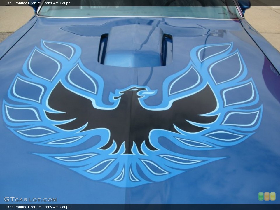 1978 Pontiac Firebird Custom Badge and Logo Photo #58381986