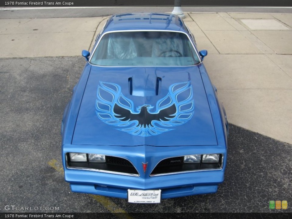 1978 Pontiac Firebird Custom Badge and Logo Photo #58382094