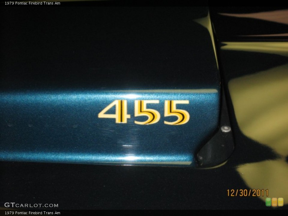 1979 Pontiac Firebird Custom Badge and Logo Photo #58954923