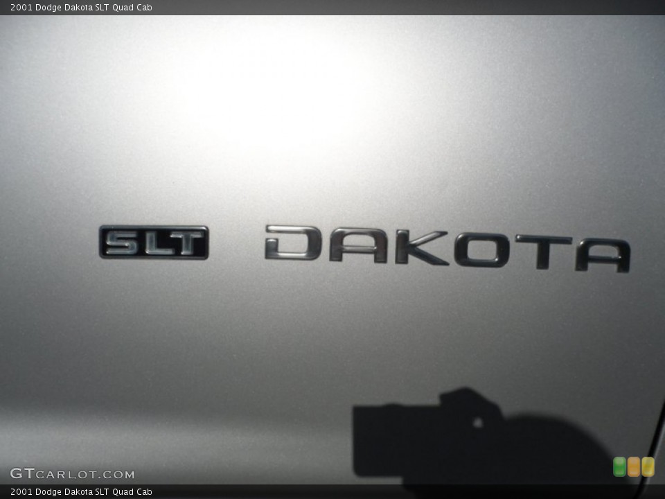 2001 Dodge Dakota Custom Badge and Logo Photo #59108792