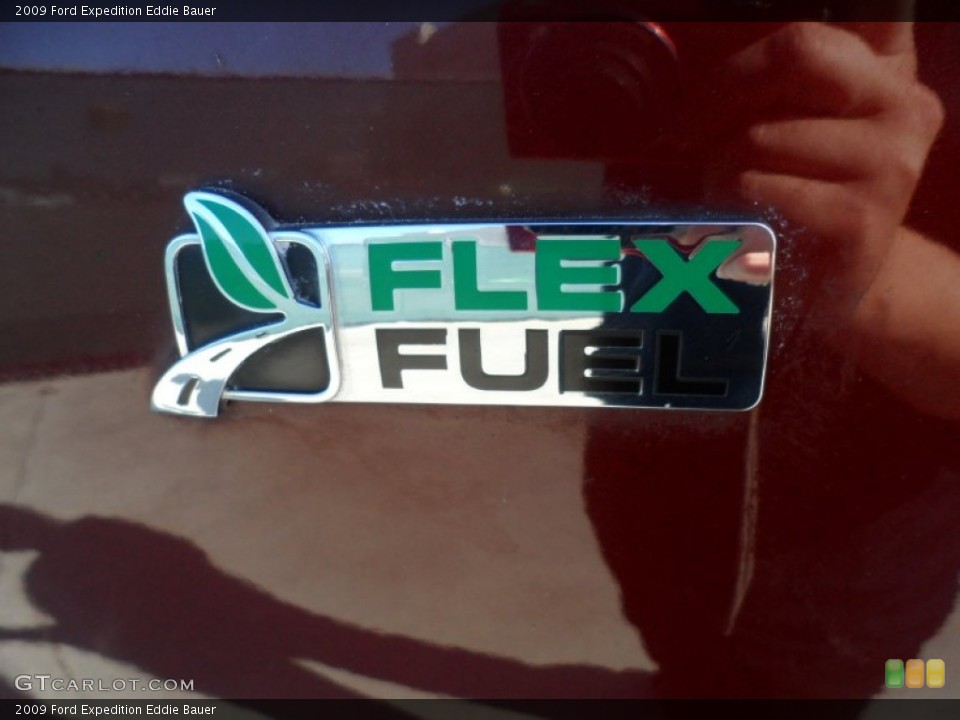 2009 Ford Expedition Custom Badge and Logo Photo #59160749